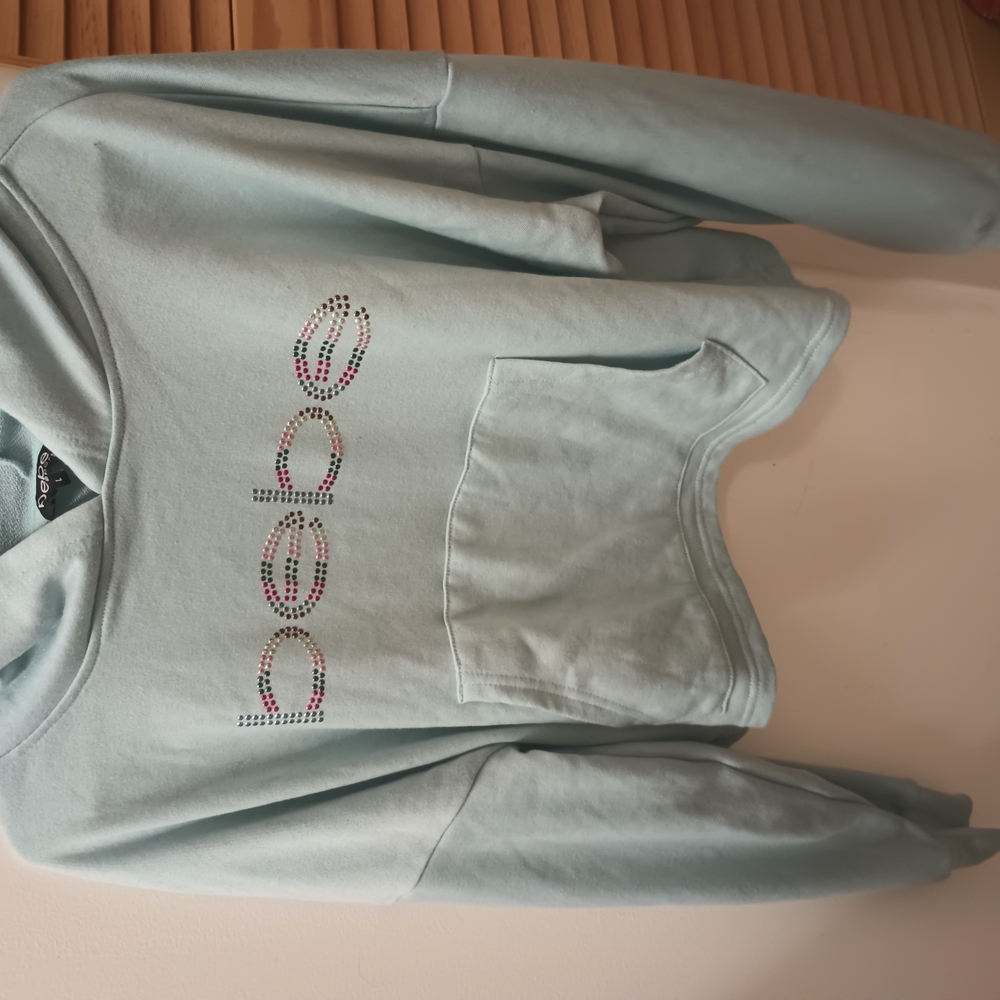 Bebe Sky Blue Hoodie with Sparkling Logo
